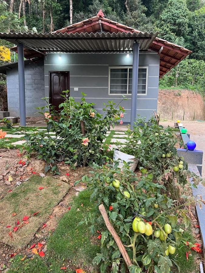 Darshan'S Home Stay マディケーリ エクステリア 写真