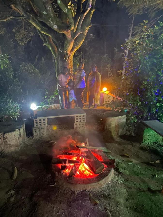 Darshan'S Home Stay マディケーリ エクステリア 写真